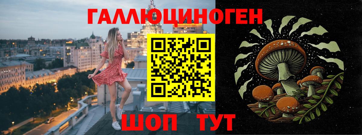 Псилоцибиновые грибы ЛСД  Вход с VPN  Приморско-Ахтарск 